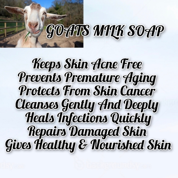 Hand Crafted SWEET ORANGE CHILI PEPPER GOATS MILK SOAP Handmade Natural Soap - Picture 3 of 10